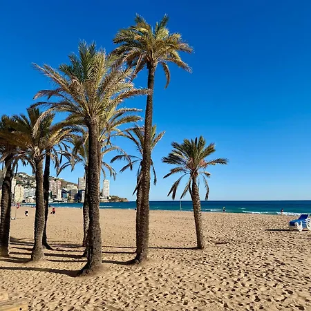 Charming Playmon Bacana 14 Benidorm